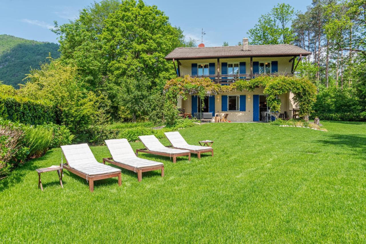 Lovely Villa With Huge Garden Surrounded By Nature 贝拉焦 外观 照片